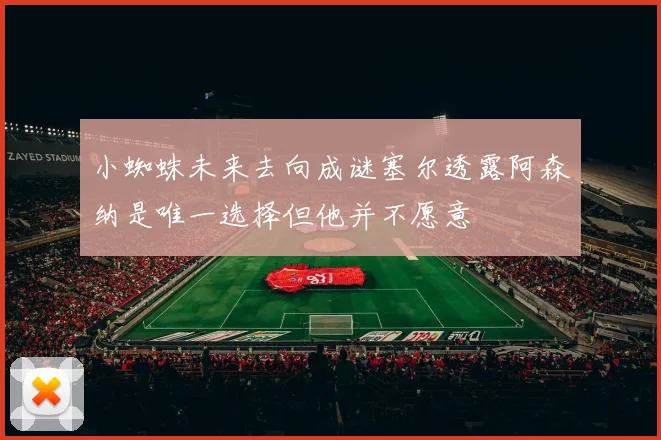 小蜘蛛未来去向成谜塞尔透露阿森纳是唯一选择但他并不愿意