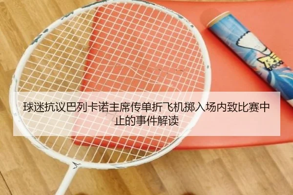 球迷抗议巴列卡诺主席传单折飞机掷入场内致比赛中止的事件解读